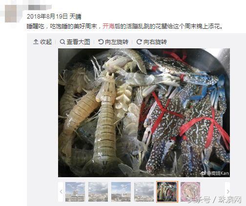 湛江各个渔港,广东渔港码头开海新情况