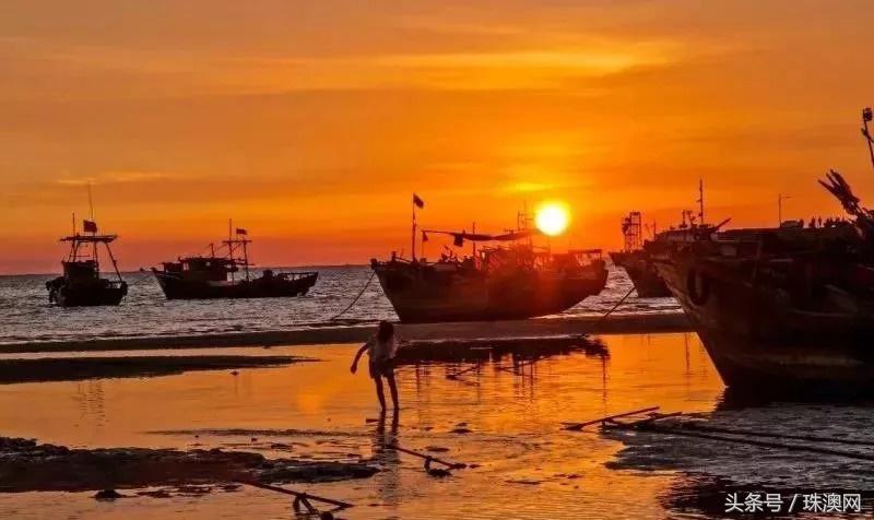 湛江各个渔港,广东渔港码头开海新情况