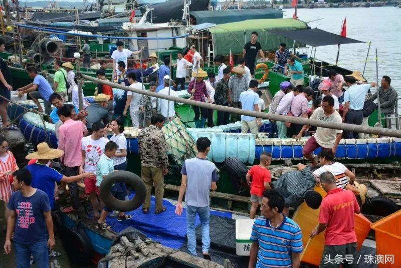 湛江各个渔港,广东渔港码头开海新情况