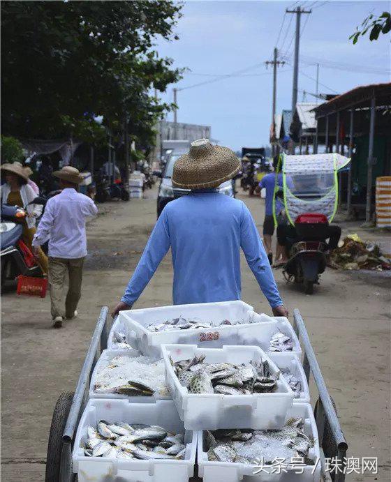 湛江各个渔港,广东渔港码头开海新情况