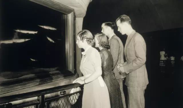 见到这只鱼大伙都要喊它爷爷，结局竟被安乐死，人们却表示赞同