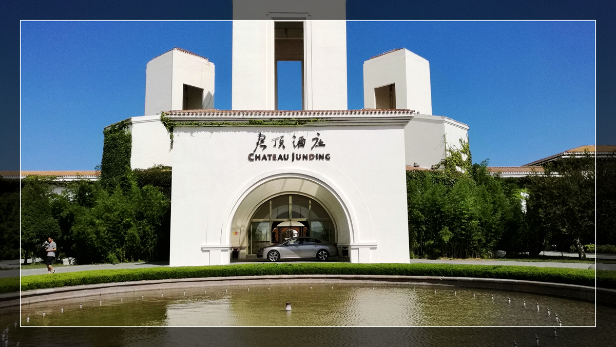 坚持自己的意念走自己的路,坚持自己的路自己走