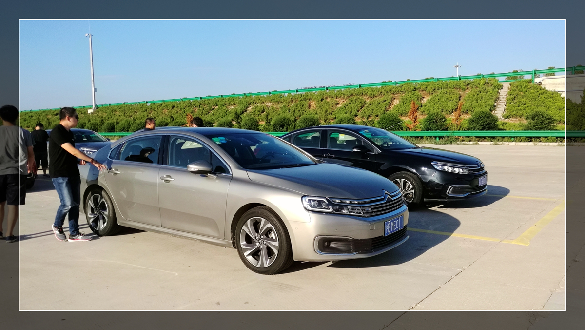 坚持自己的意念走自己的路,坚持自己的路自己走