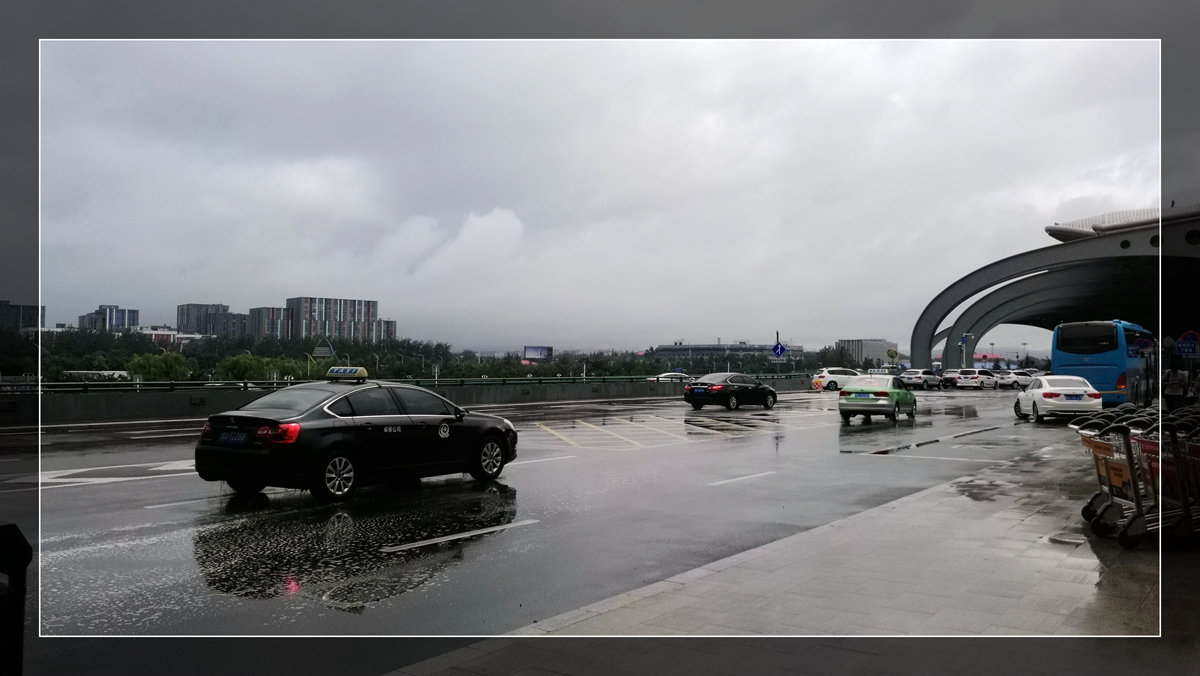 坚持自己的意念走自己的路,坚持自己的路自己走