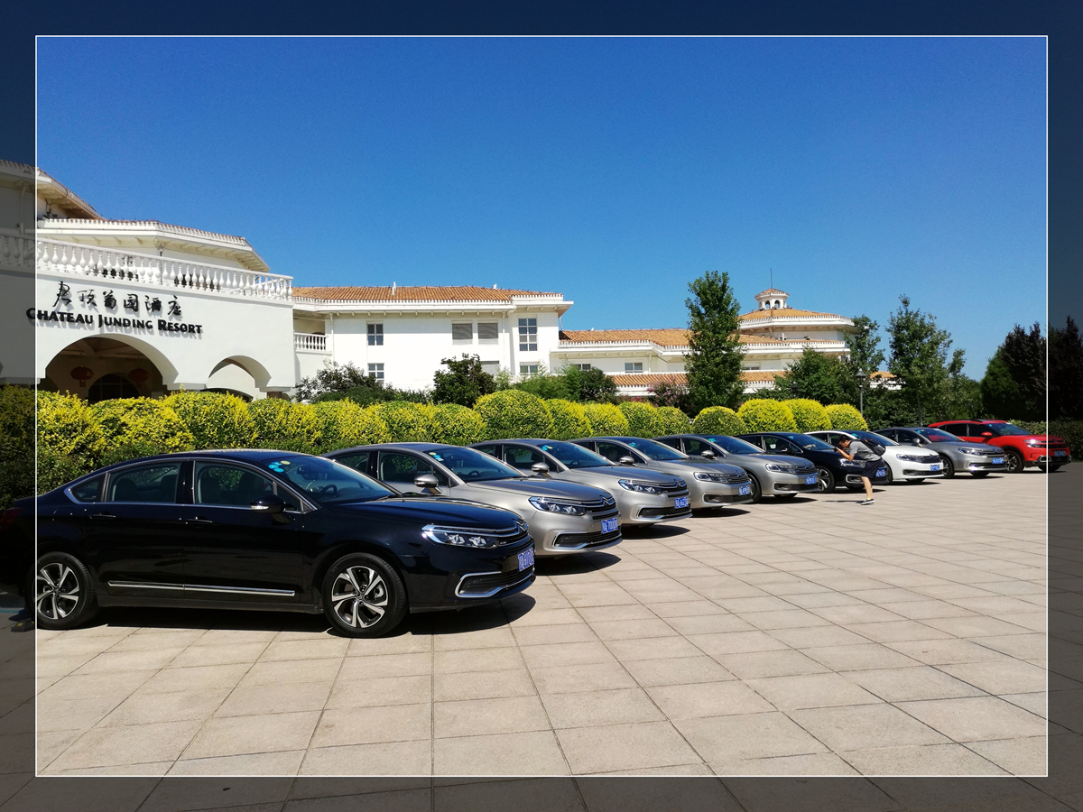 坚持自己的意念走自己的路,坚持自己的路自己走