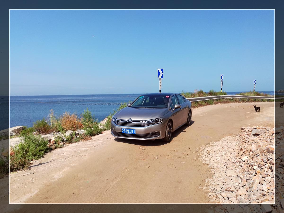 坚持自己的意念走自己的路,坚持自己的路自己走