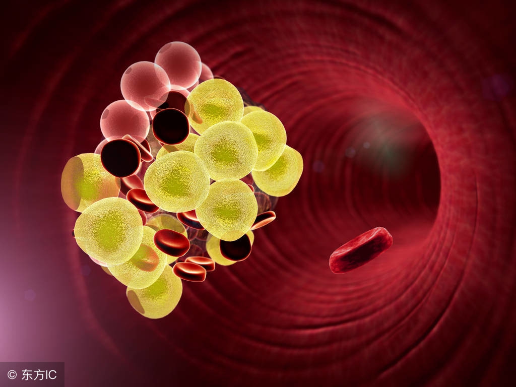 吃什么食物能抑制血栓的形成,常吃哪一类食物让血管一通到底