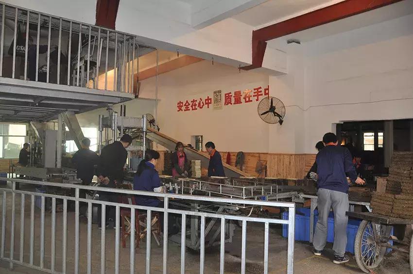 湖南千亿茶产业,湖南茶业产业发展现状