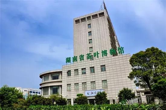 湖南千亿茶产业,湖南茶业产业发展现状