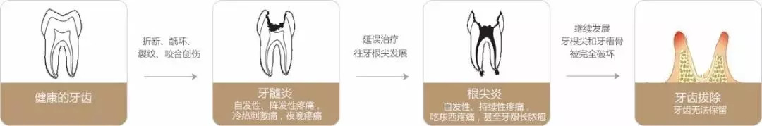 别让你的牙齿受罪,别让你的牙齿受委屈