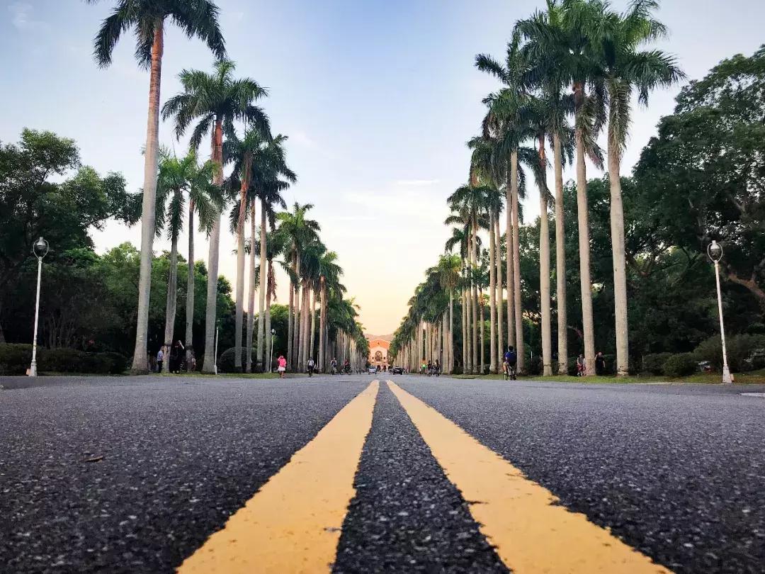 台北掏空了我的钱袋子