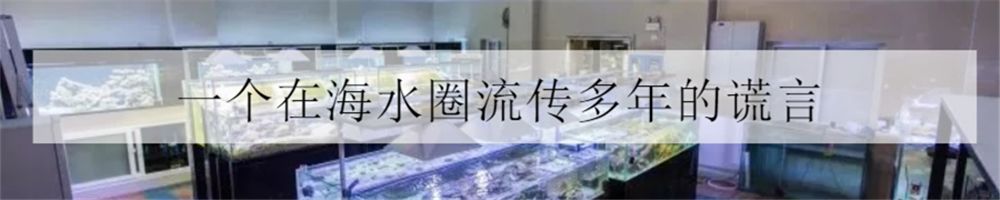 1.2米sps海缸低密度,sps1.5米造景