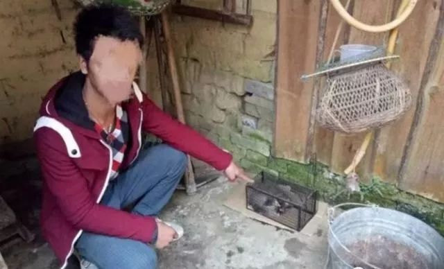 女主播直播牟利百万,女主播直播2年牟利150万