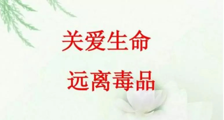 浙江首次查获迷幻药“蓝精灵”危害是第一代*品毒**的1000倍