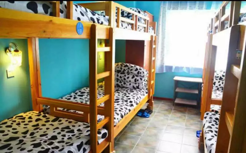 民房可以申请青年旅舍吗,青年旅舍家庭可以住吗