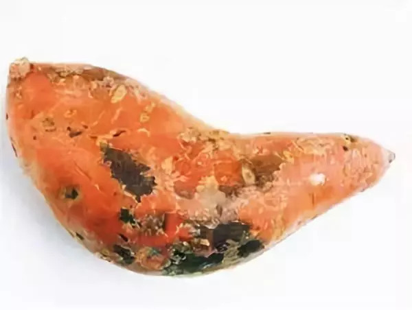 一家5口中毒是什么原因,一家五口绿豆汤中毒事件