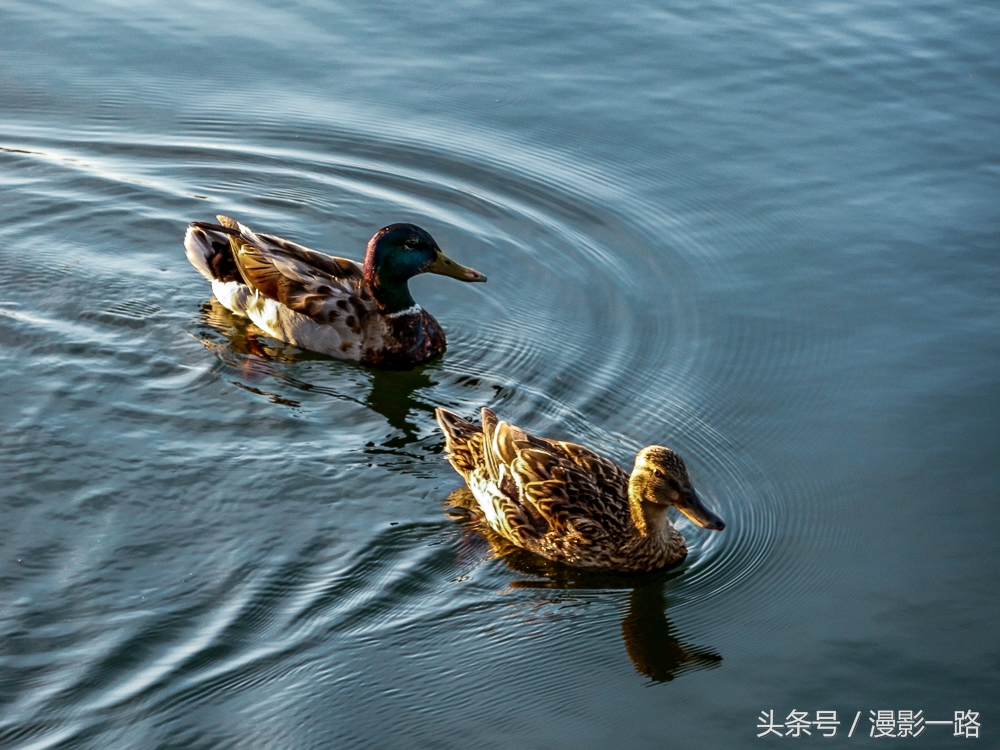 索尼黑卡rx100一代评测,索尼黑卡rx100m4代有几倍变焦