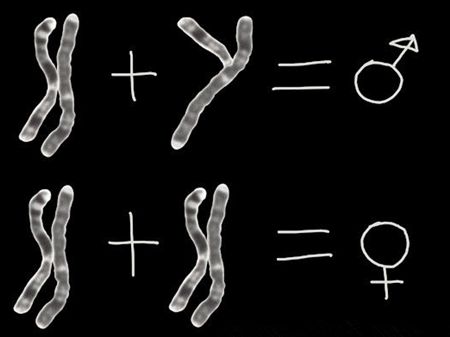 为什么女人怀不上孩子,为什么一直怀女孩总怀不上男孩