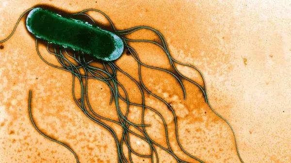 现在疫情严重买国外的奶粉安全么,多国爆发疫情海淘