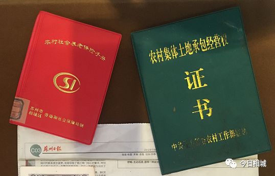 吴县撤市设区文件、80年代结婚证……相城那些陈年往事首度“曝光”