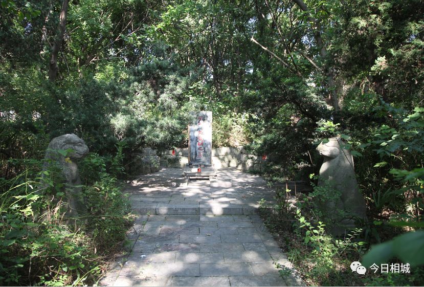 吴县撤市设区文件、80年代结婚证……相城那些陈年往事首度“曝光”