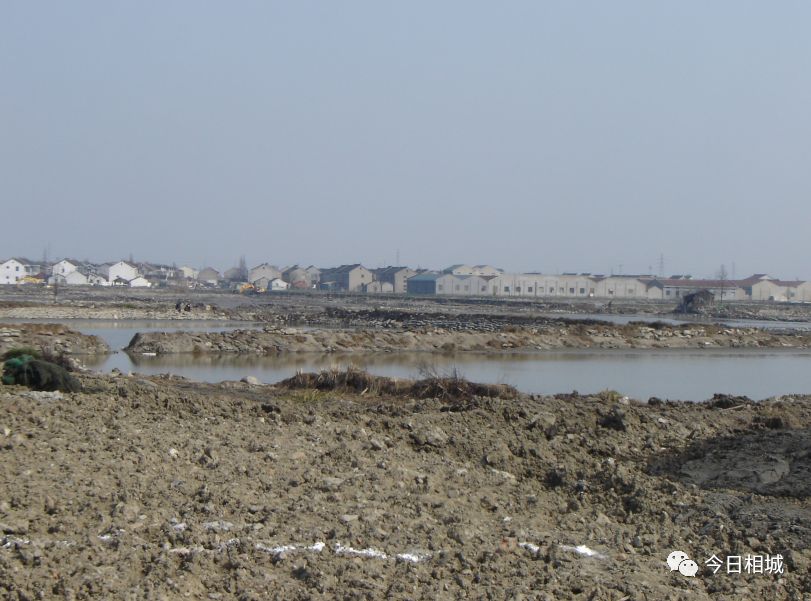 吴县撤市设区文件、80年代结婚证……相城那些陈年往事首度“曝光”