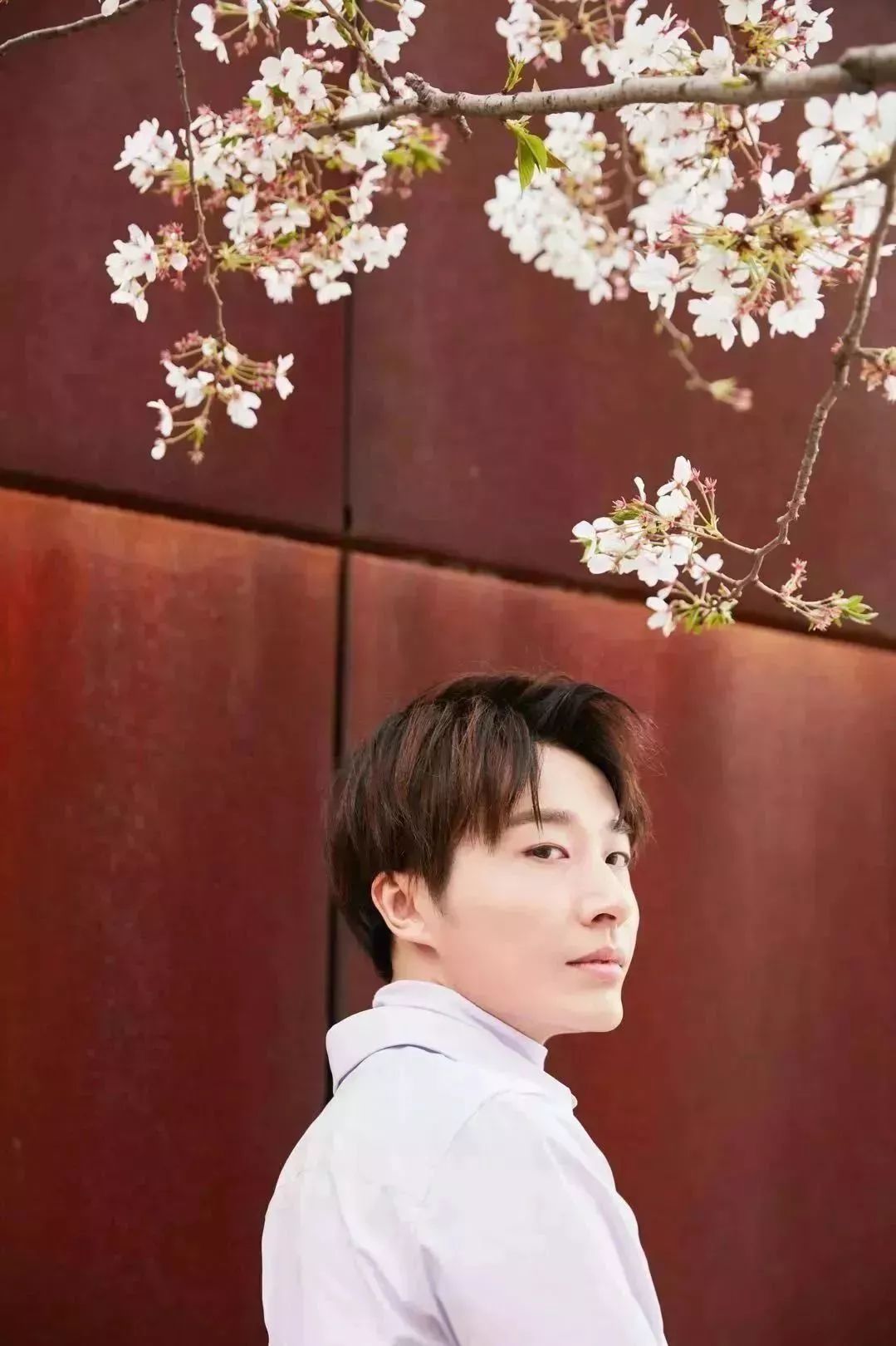 美妆博主亲测遮瑕膏,博主亲测护肤