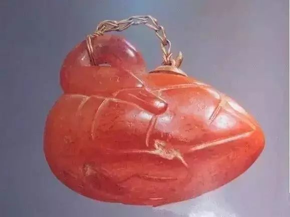 世界十大珍稀琥珀图片,世界各地琥珀特征