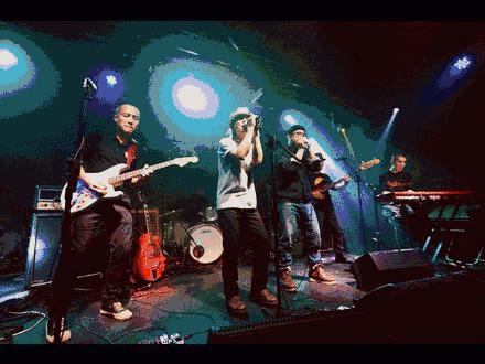 蓝调爱好者的聚会,蓝调爱好者大聚会