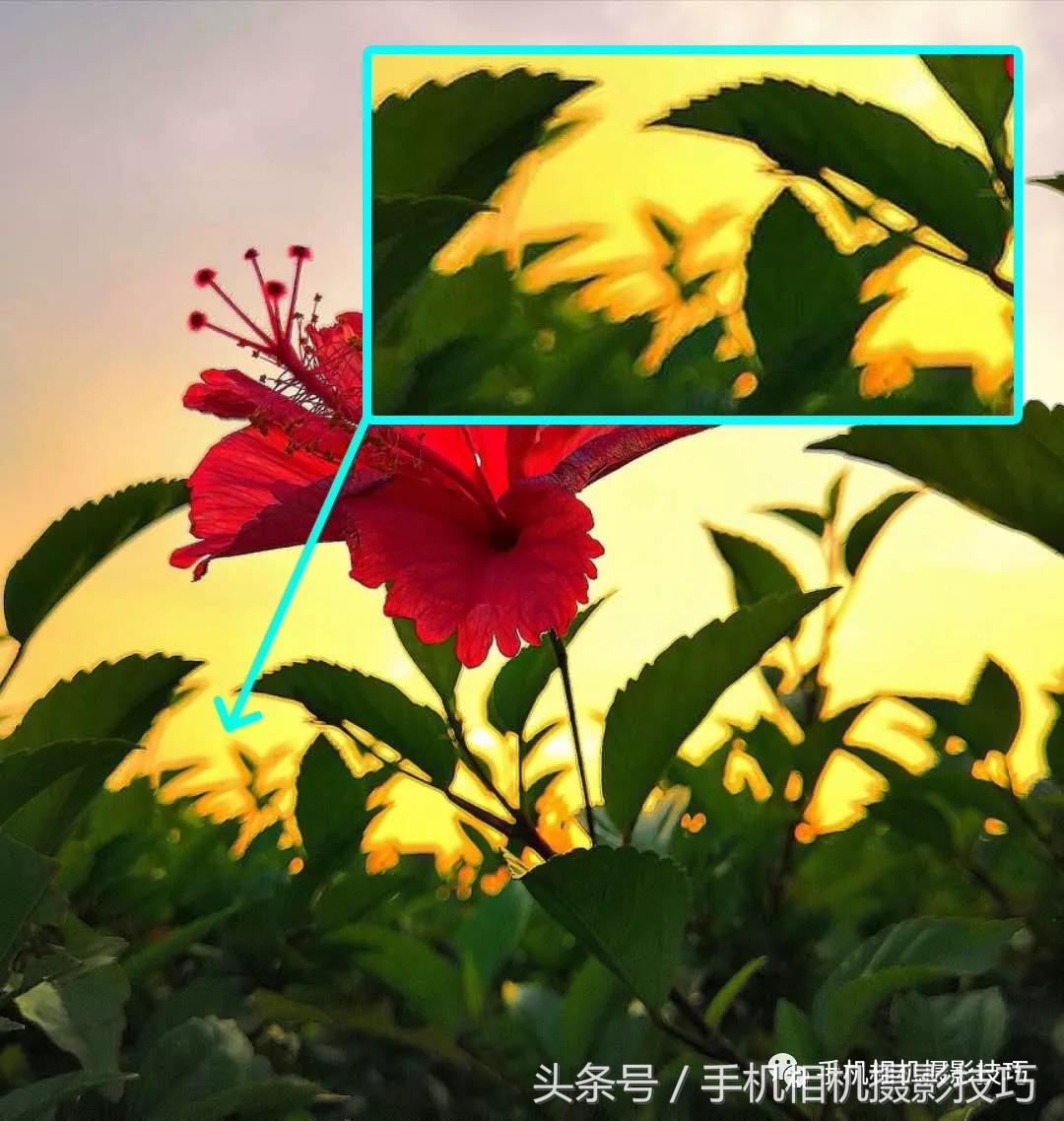 一些关于手机摄影的问题,这些手机摄影的技巧一学就会