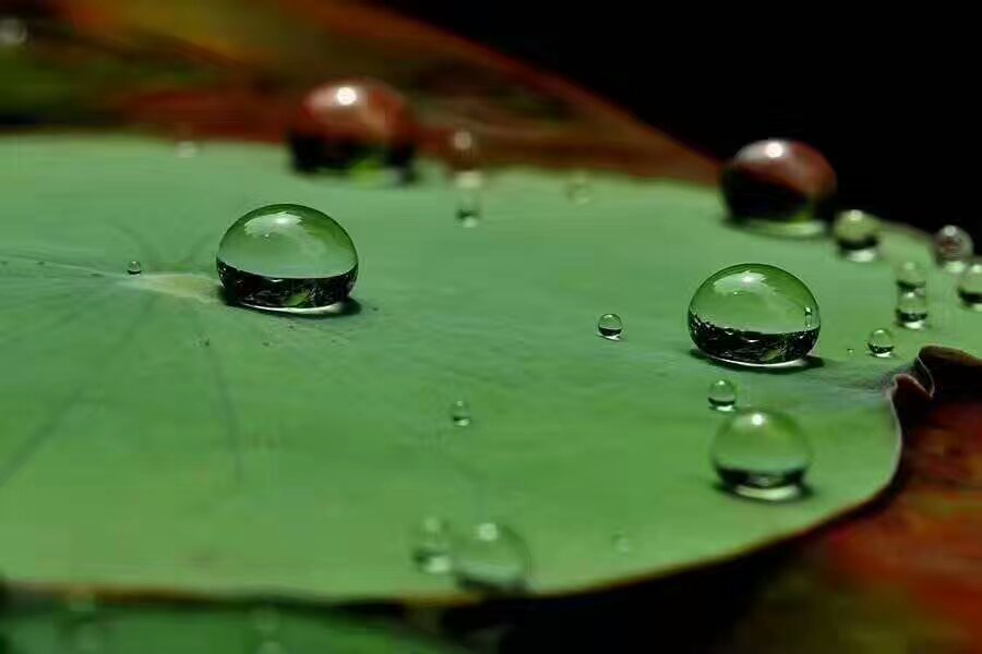 不是所有镀晶都能“叠”加！廊坊车爵仕工带您了解什么是叠加镀晶