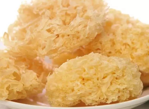 各种菇类都有哪些功效,各种菇类抗癌作用大汇总