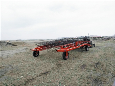 丁利民任命公示,丁利民个人资料