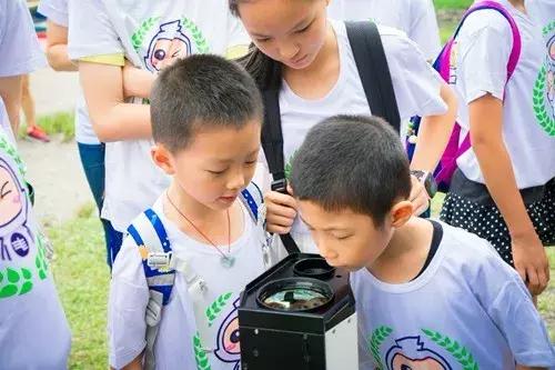 夏日电网探秘之旅，市民邂逅神奇的“激光大炮”！