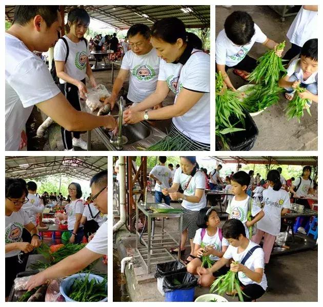 夏日电网探秘之旅，市民邂逅神奇的“激光大炮”！