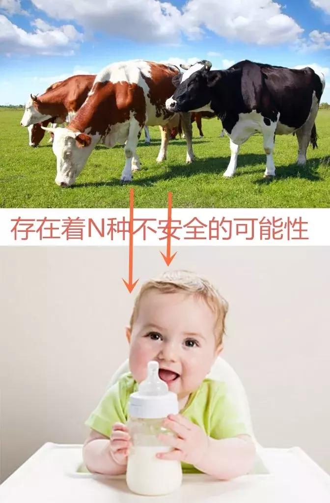 还原奶和鲜奶粉的区别,婴儿奶粉还原奶什么意思