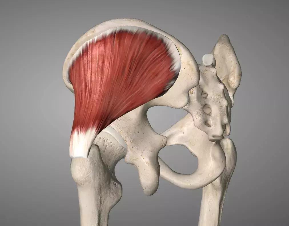 跑者”专利”：一文看懂膝外侧疼痛如何解决