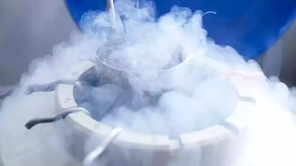 1万4千英镑,冻卵取出18个卵子