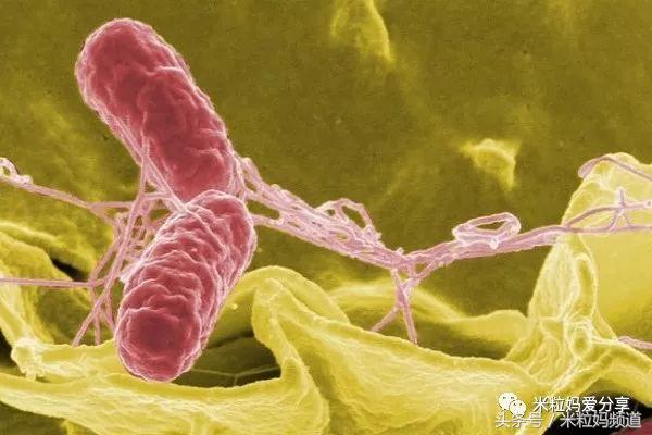 奶粉怎么样避免二次污染,婴儿奶粉受污染