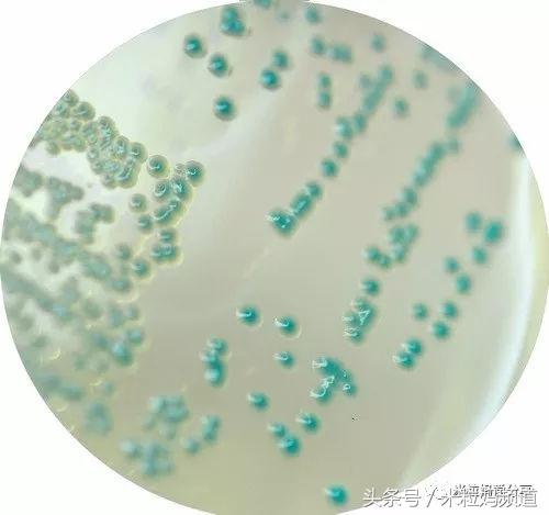 奶粉怎么样避免二次污染,婴儿奶粉受污染