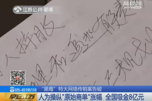 黑莓原液骗局揭秘,黑莓产品是传销吗