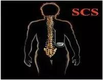 植物人脊髓电刺激促醒多少钱,植物人唤醒无影剑