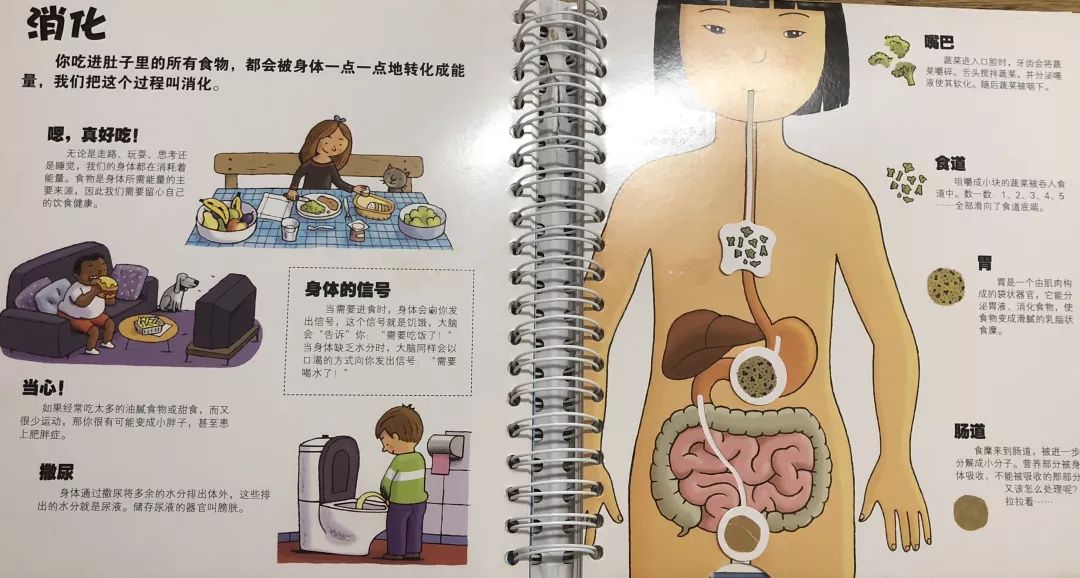 青春期性教育书籍排行榜前十名,适合小学生性教育的书推荐