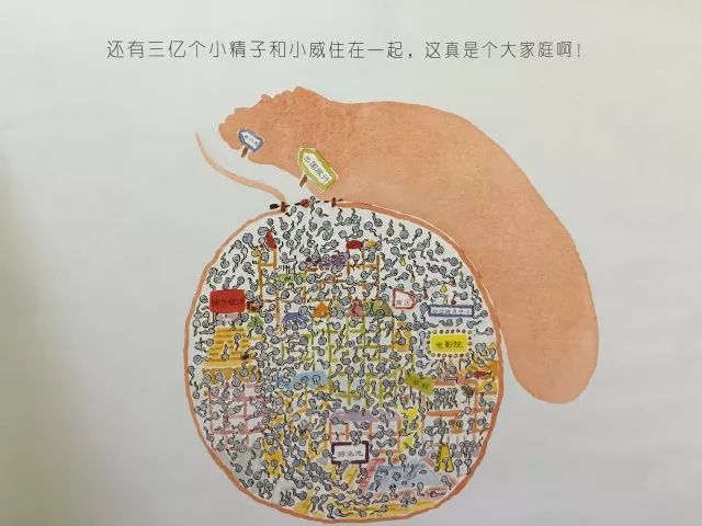 青春期性教育书籍排行榜前十名,适合小学生性教育的书推荐