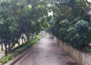 鼓浪屿怎么游玩最合适,鼓浪屿游玩最新攻略