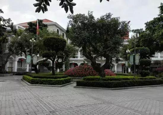 鼓浪屿怎么游玩最合适,鼓浪屿游玩最新攻略