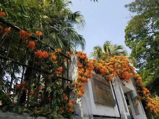 鼓浪屿怎么游玩最合适,鼓浪屿游玩最新攻略