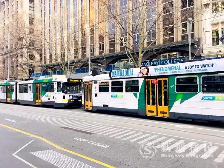 移民后的真实故事,移民后的经历