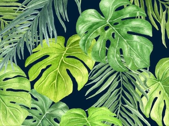 龟背竹烂根最简单的处理方法,龟背竹烂根的原因与处理方法