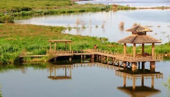 666~史上最全、最贴心的哈马赛事攻略来啦